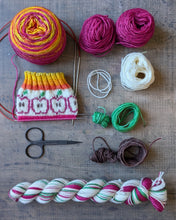 Load image into Gallery viewer, Apple Slice Socks Colorwork Kit