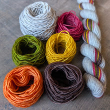 Load image into Gallery viewer, Mazie Socks Colorwork Kit