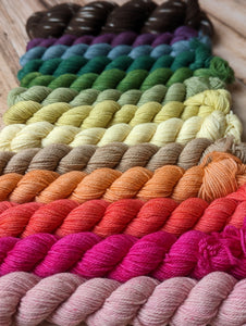 Sprout Mini Skein Set